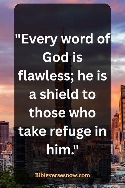 Bible verse above trusting God's plan